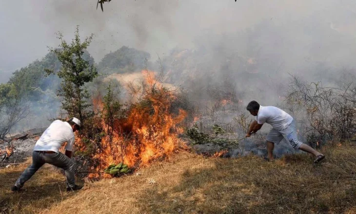 Situata e zjarreve/ Kryeministria jep të dhënat për çdo qark: 2 helikopterë hungarezë dhe 2 Canadair operuan në Vlorë