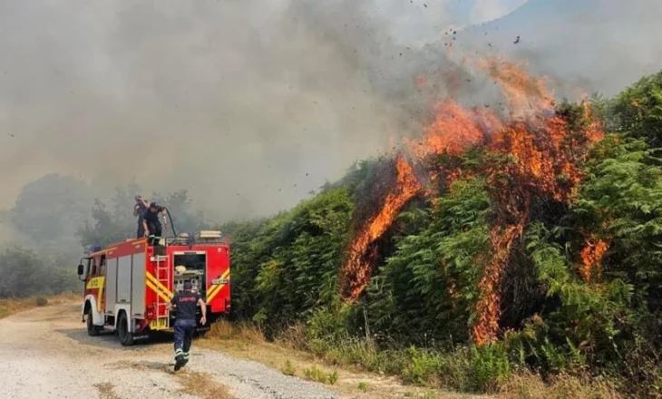 Situata e zjarreve në vend/ 14 vatra të raportuara, 10 të shuara dhe 4 ende aktive