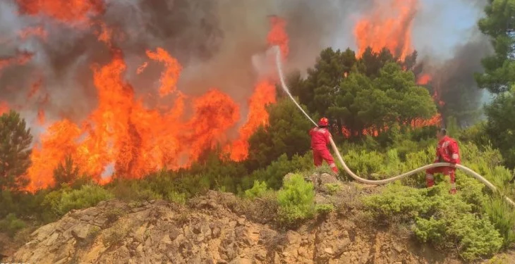 Situata me zjarret/ Ministria e Mbrojtjes: 37 vatra të raportuara në 24 orë, 4 ende aktive