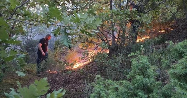 Situata me zjarret/ Ministria e Mbrojtjes sjell raportimet e fundit në vend: Aktualisht 14 vatra zjarri, 4 janë aktive