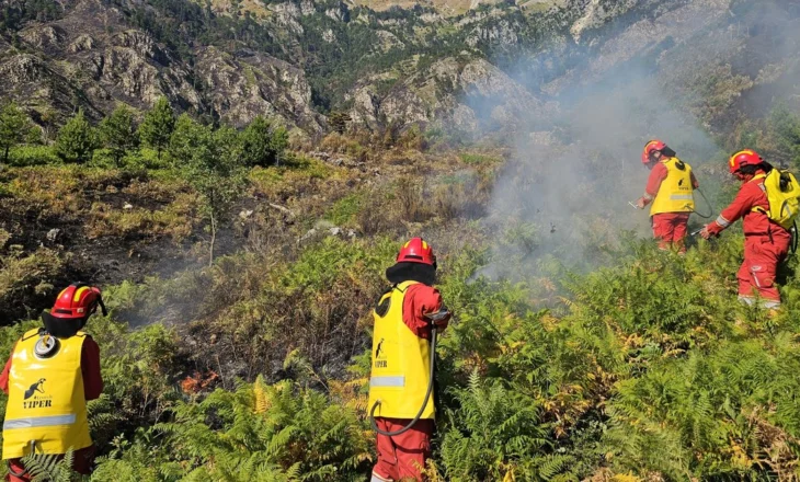 Situata me zjarret në Shqipëri, prej ditësh ende po digjet parku i Lurës, ndërhyrje edhe nga ajri