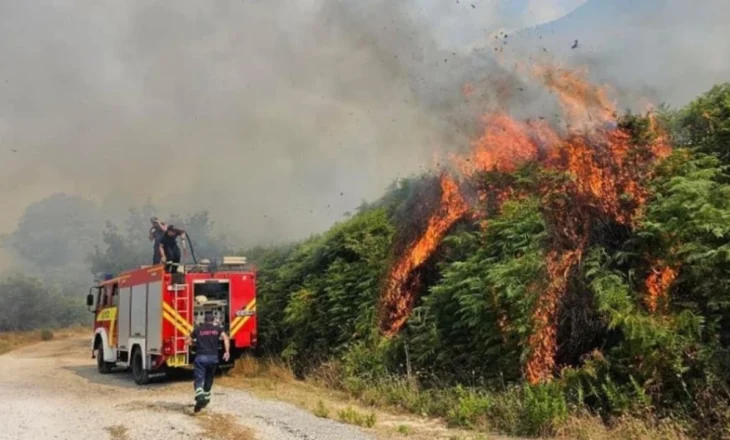 Situata me zjarret në vend/ Nivel i lartë rreziku në Fier, një vatër aktive në Skrapar! Qindra hektarë pyje të shkrumbuara në Klos, Mat, Dibër e Bulqizë