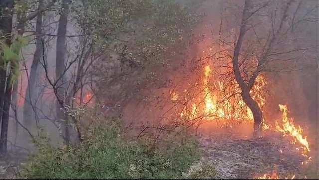 Situatë e rënduar në qarkun e Dibrës, disa vatra ende aktive! Terreni i vështirë pengon ndërhyrjen e zjarrfikësve