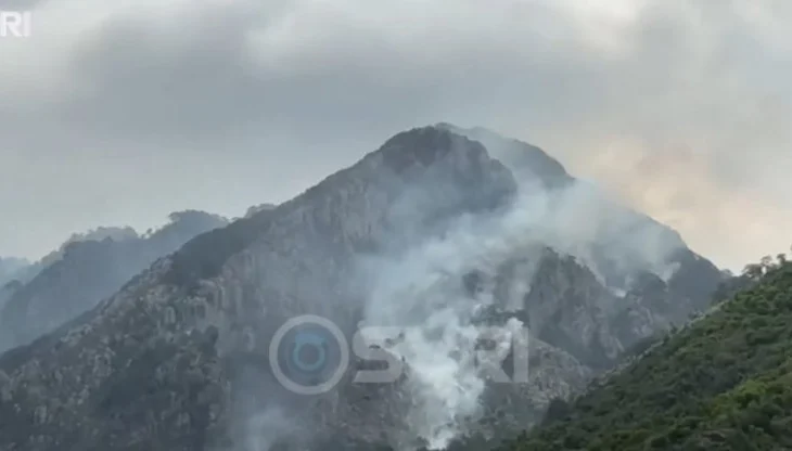 SYRI TV/ 16 vatra aktive gjatë 24 orëve të fundit, 5 prej tyre ende aktive