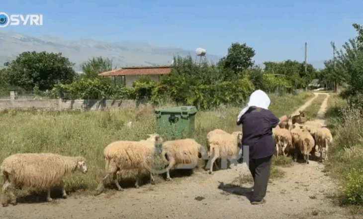 SYRI TV/ Banorët e Bulos në Libohovë kërkojnë pastrimin e kanaleve vaditëse