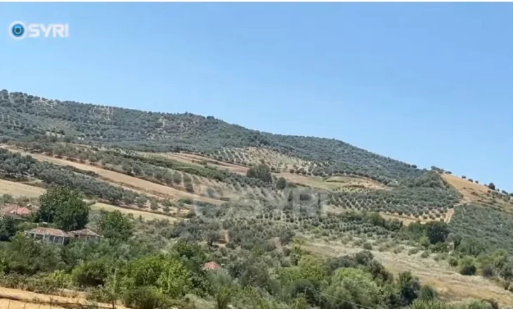 SYRI TV/ Kriza e vaditjes në Kurjan rrezikon ullinjtë, fermerët: Është përgjysmuar prodhimi i ullirit