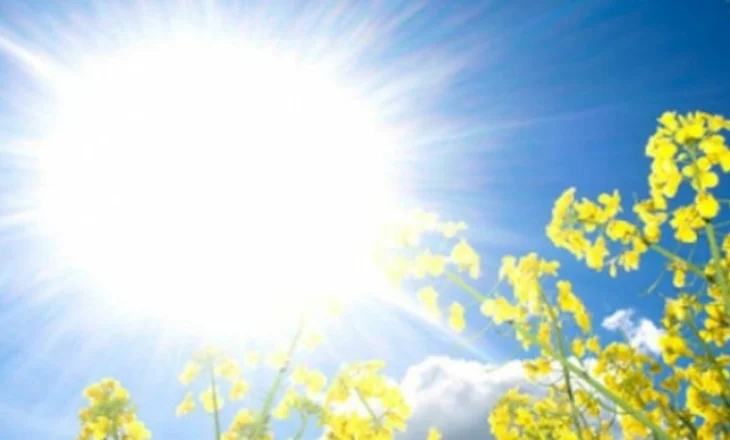 Temperaturat e larta dhe vapa mund të shkaktojnë sëmundje serioze deri në vdekje! Ja më të rrezikuarit
