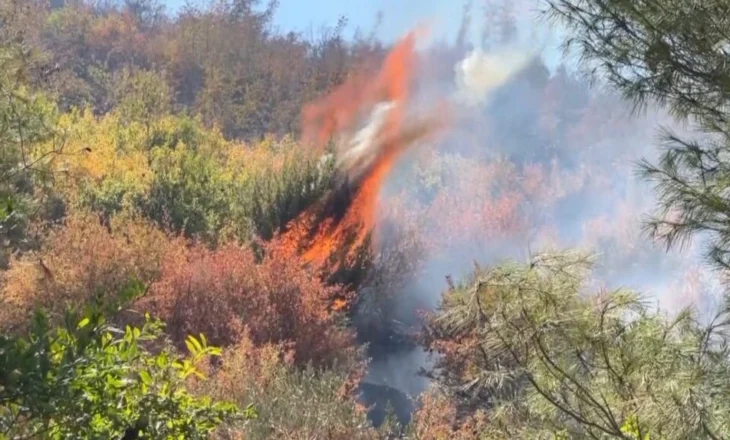 Tre vatra zjarri në Fier, flakët po përhapen me shpejtësi, pritet ndërhyrja e helikopterit