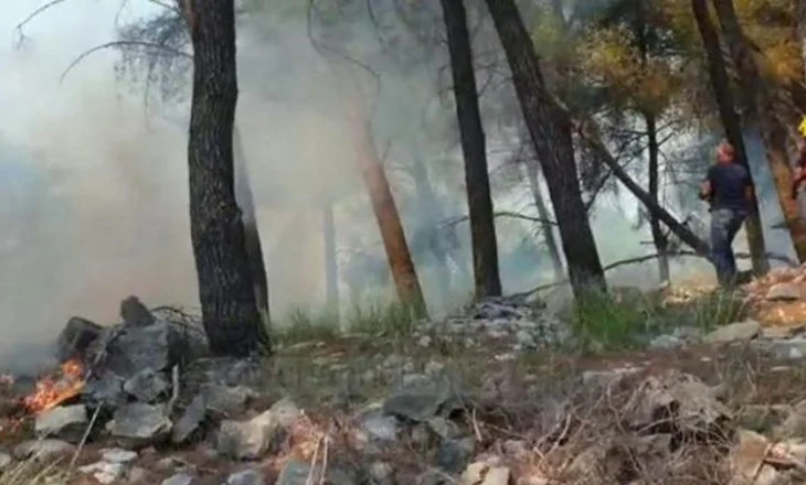 U vuri zjarrin shkurreve që i kishin mbuluar varrin e së ëmës, e pëson 33-vjeçari në Elbasan