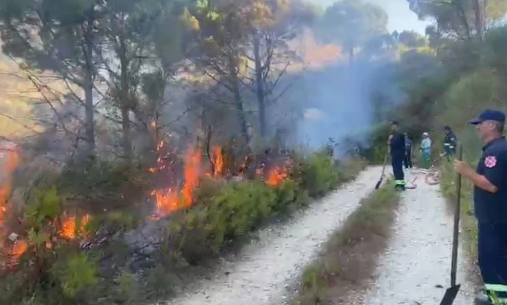 Ushtria i bashkohet operacionit për shuarjen e flakëve në Belishovë të Mallakastrës