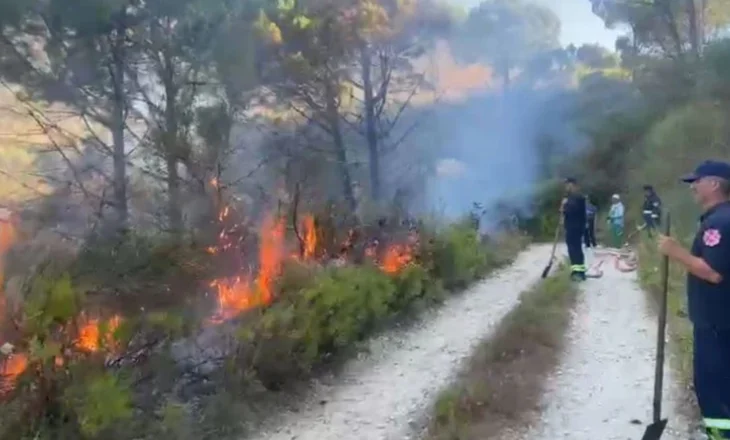Ushtria në aksion për shuarjen e flakëve në Belishovë të Mallakastrës