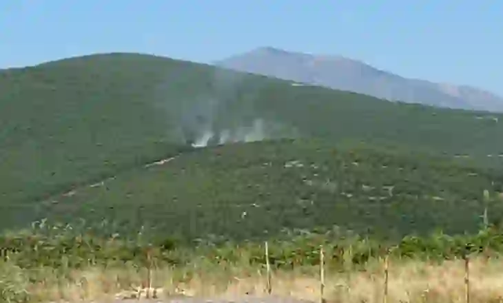 Vatër zjarri në Mamel të Kukësit, digjen rreth 2 hektarë pyje, përhapja e flakëve rrezikon zonën përreth