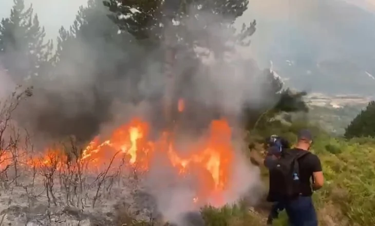 VIDEO/ Pamje të mjerueshme: Zjarret tentojnë t’i shuajnë me degë e shkurre