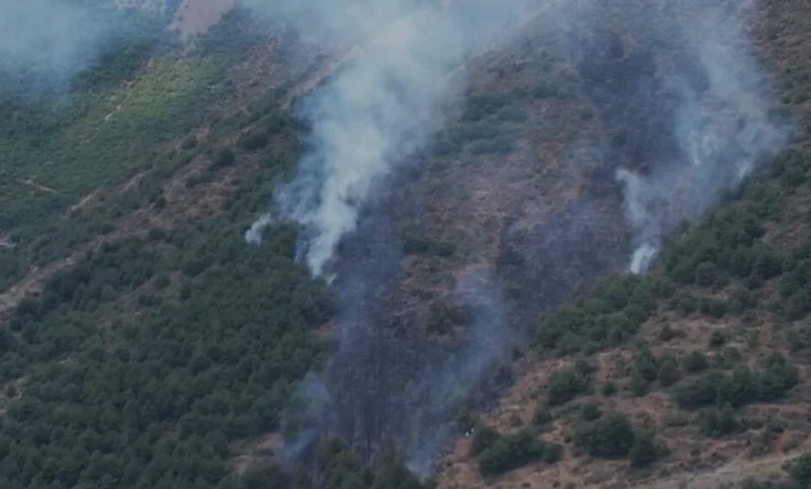 VIDEO/ Përfshihet nga flakët masivi pyjor në Pogradec