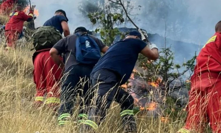 VIDEO/ Përpjekje intensive për shuarjen e flakëve në Gjirokastër, vija e zjarrit mbi 10 km
