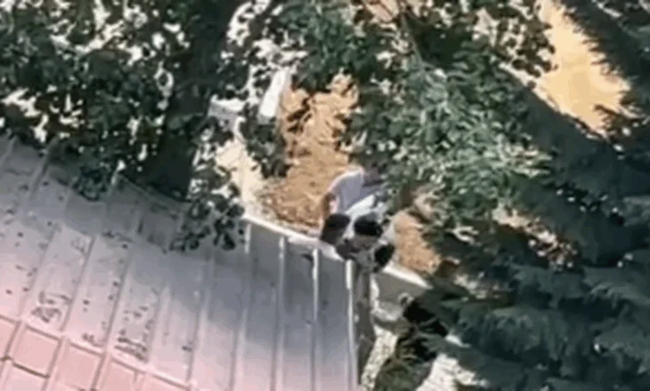 VIDEO/ Pronari i Hotel Drilonit dhunon zyrtarin e Bashkisë Pogradec