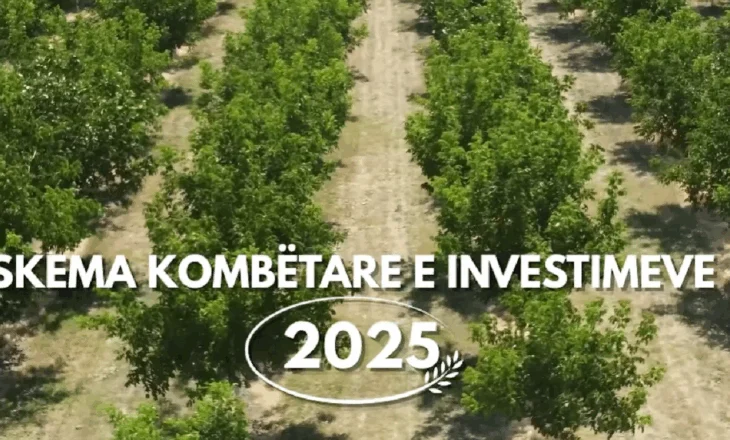 VIDEO/ Skema e investimeve, ministrja Denaj: Në dispozicon 20 milionë euro, 9 masa mbështetëse deri në 30 shtator