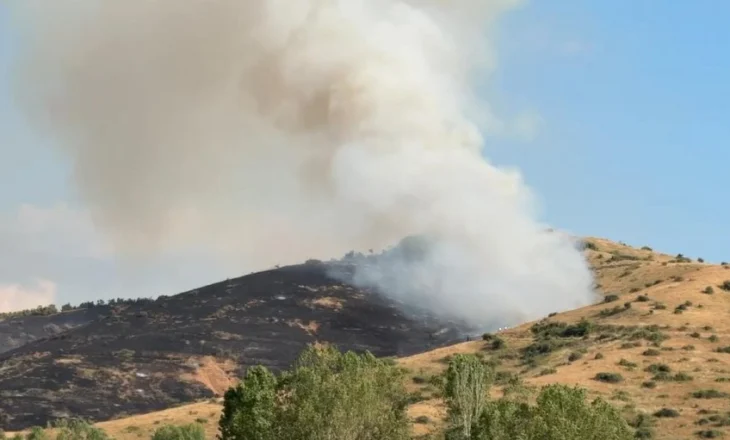 VIDEO/ Zjarr në Pogradec, flakët përhapen me shpejtësi të favorizuara nga era