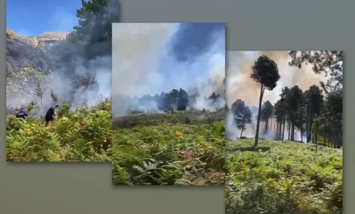 VIDEO/ Zjarri në Dukat rrezikon Parkun Kombëtar të Llogarasë, kërkohet helikopteri