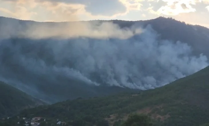 Vijojnë flakët në parkun kombëtar të Lurës, prej dy javësh zjarri ka djegur 300 ha pyje e kullota, në rrezik banesat përreth