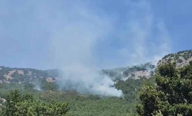 Vijojnë zjarret në Bulqizë, flakët e favorizuara nga era i afrohen Malit të Bardhë. Shërbimet zjarrfikëse në terren