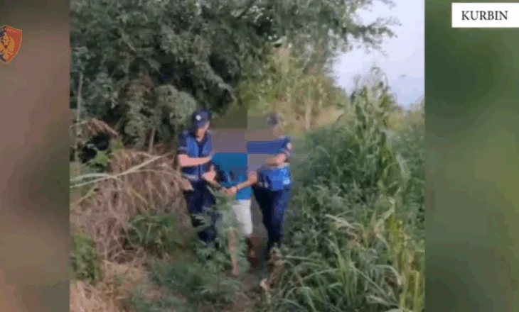 Vijon operacioni “Koordinata”, kapet në flagrancë 34-vjeçari që kultivonte kanabis në Fushë-Milot