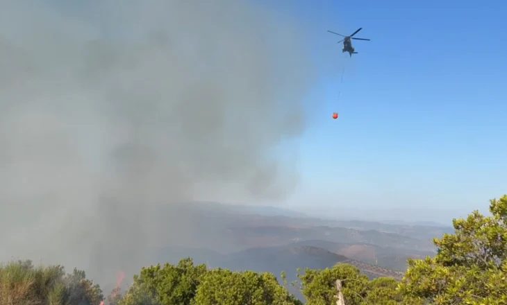 Vijon zjarri në Drenovë të Mallakastrës, zjarrfikësit dhe 40 forca ushtarake në terren! Në ndihmë edhe helikopteri ‘Cougar