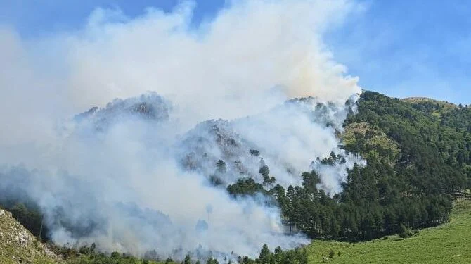 Vijon zjarri në Dukat, zjarrfikësit punojnë me lopata