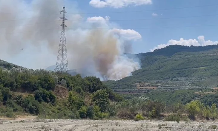 Vijon zjarri në malin e Dukatit, rrezikohet edhe parku kombëtar i Llogarasë