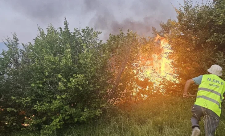 Vijon zjarri në malin e Shashicës në afërsi të fshatit Kaninë, rrezikohen disa banesa