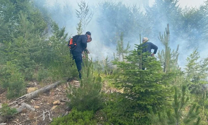 Vijon zjarri në Parkun Kombëtar të Lurës, era favorizon flakët