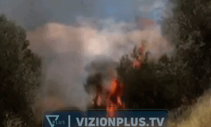 Zajrr në Dimal, marrin flakë barishtet në anë të rrugës