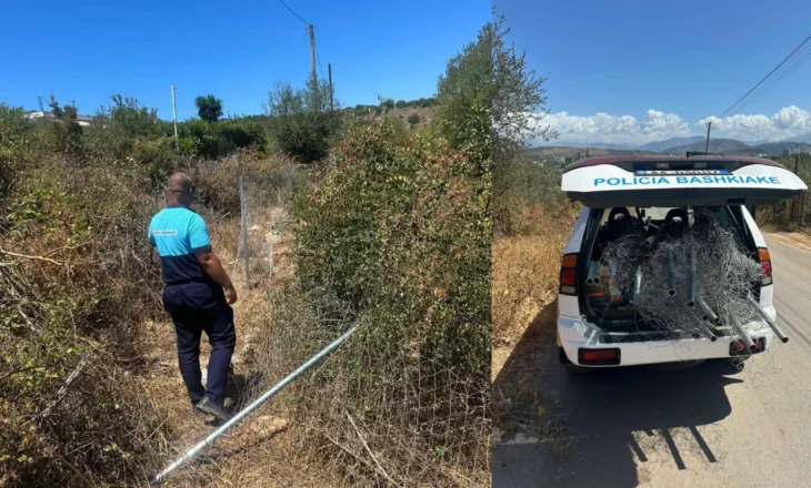 Zbulohet rast zaptimi i truallit në Ksamil, Policia Bashkiake mbledh rrjetën