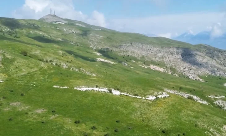 Zhduket çobani në Delvinë, kolegu i tij denoncon në Polici