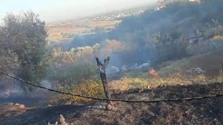 Zjarr i fuqishëm në Kavajë, mbi 1000 rrënjë ulliri në flakë, banorët në alarm