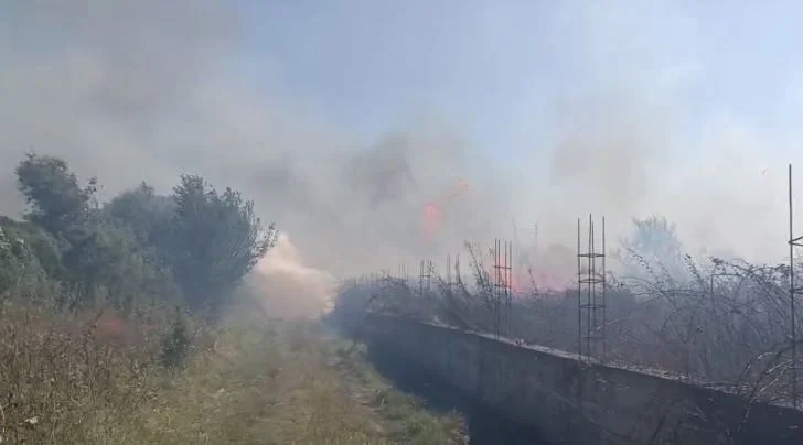 Zjarr i madh në Lushnjë, digjen disa toka dhe një parcelë me ullinj! Flakët favorizohen nga era e fortë