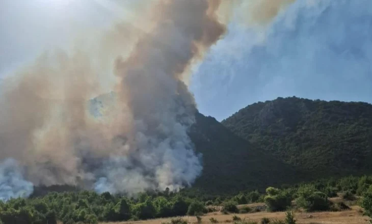 Zjarr i madh në Parkun Kombëtar të Prespës