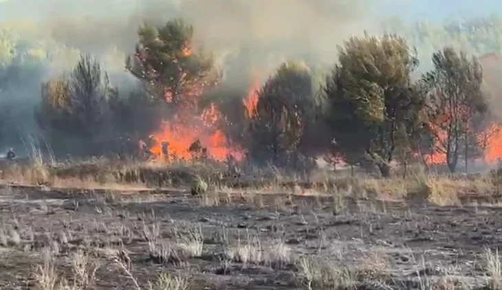 Zjarr i madh në Zvërnec! Flakët në pyjet me pisha dalin jashtë kontrolli, rrezikohen dy hotele