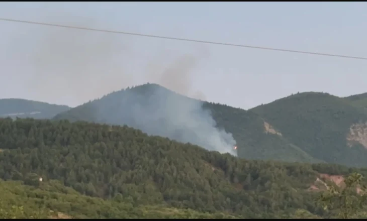 Zjarr i qëllimshëm në malin e Mavrovës, flakët depërtojnë brenda pyllit!
