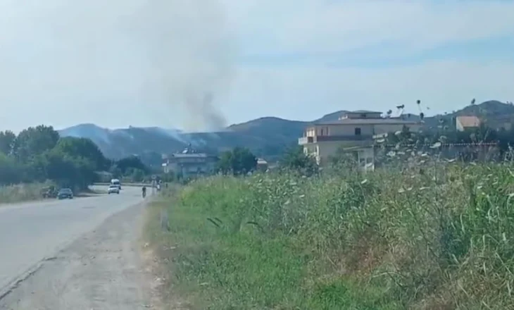 Zjarr masiv në Elbasan/ Nën flakë sipërfaqe me ullinj, nis ndërhyrja nga ajri me dy helikopterë