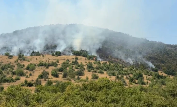 Zjarr masiv në Kapshticë, flakët arrijnë pranë rrugës nacionale, shërbimet zjarrfikëse në vendngjarje