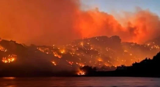 Zjarr masiv në Kretë/ Evakuime urgjente, banesa dhe serra në flakë, ishulli përfshihet nga paniku