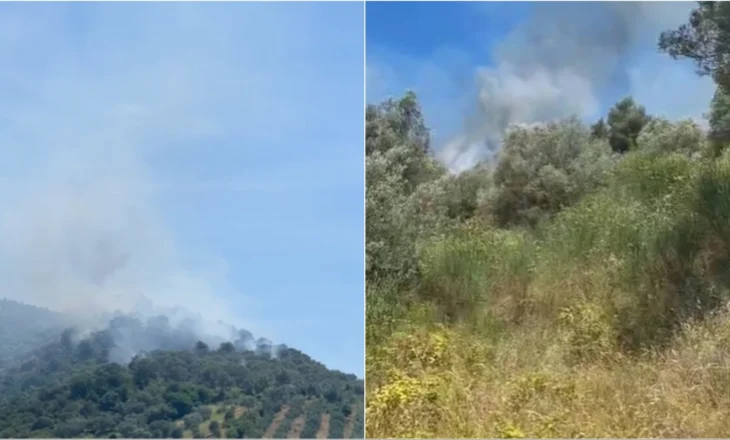 Zjarr masiv në një ullishte në Elbasan, era ndryshon drejtimin e flakëve! Ndërhyrja e vështirë për shkak të terrenit