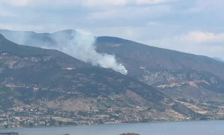 Zjarr mbi fshatrat e Pogradecit, vështirësi për të neutralizuar flakët