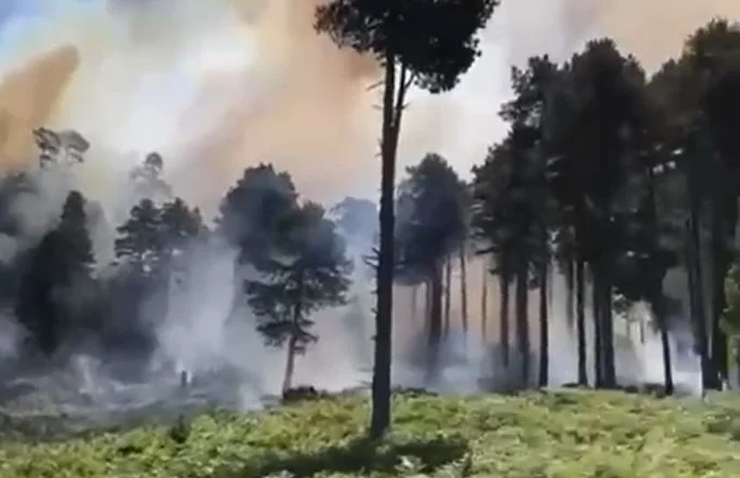 Zjarr në Dukat, rrezikohet Parku Kombëtar i Llogarasë/ Kërkohet ndërhyrje nga ajri