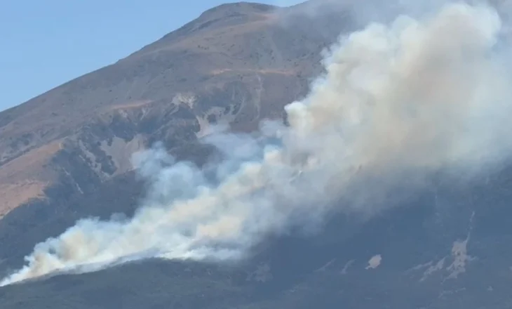 Zjarr në fshatin Sevaster të Vlorës, flakët djegin bimë e pemë, ndërhyrja nga zjarrfikëset e vështire për shkak të terrenit malor