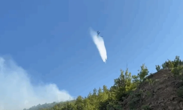Zjarr në fshatin Skuraj të Kurbinit/ Përfshihet masivi pyjor, dyshohet zjarrvënie e qëllimshme