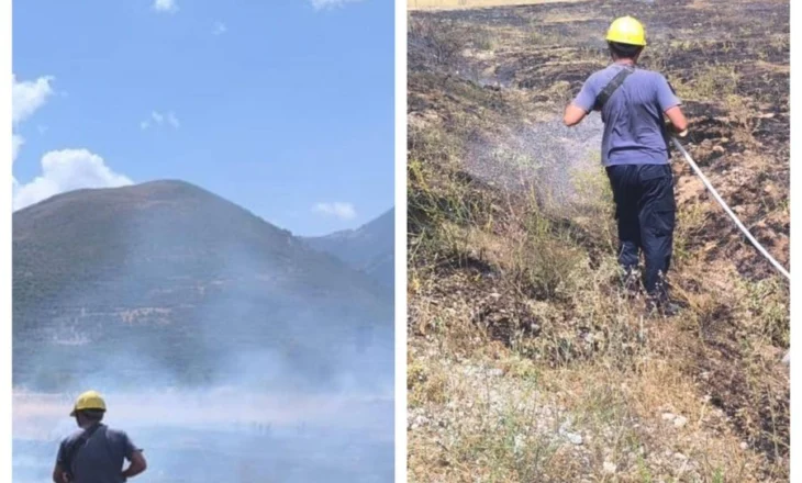 Zjarr në Kardhiq, digjen 3 dynym me bimësi të thatë, shmanget përhapja drejt banesave