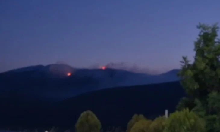 Zjarr në Kukës, era favorizon përhapjen e flakëve, digjen disa hektarë pyje