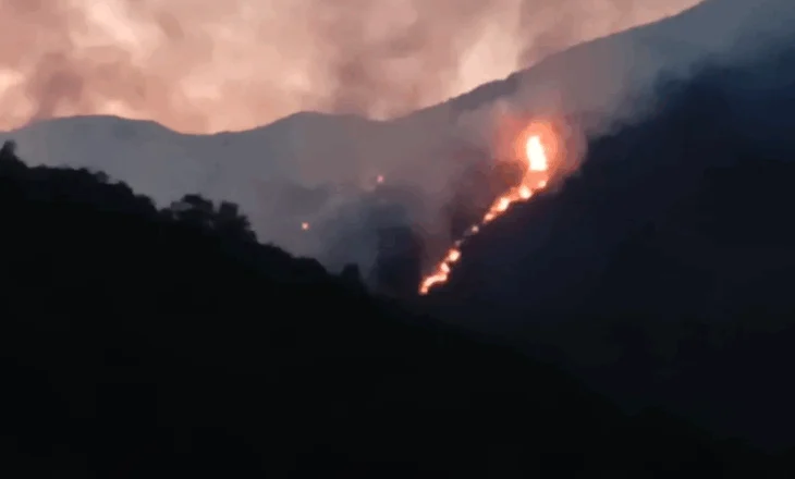 Zjarr në luginën e Shkopetit, masivi me pisha digjet me shpejtësi